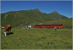 Der Jungfraubahn JB BDhe 2/4 208 und sein Bt auf Bergfahrt oberhalb der Kleinen Scheidegg.
8. August 2016