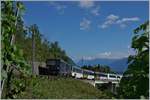 Die MOB GDe 4/4 6002  Isabelle von Siebenthal  schleppt bei Planchamp ihren Panoramic Express 2234 Richtung Zweisimmen.