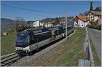 Am nächsten Tag versuchte ich mein Glück von der gegenüberliegenden Seite: Die Ge 4/4 8001 mit dem MOB Panoramic Express PE 2115 von Zweisimmen nach Montreux bei Planchamp.