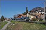 Weit weniger in der Sonne als gedacht zeig sich die MOB Ge 4/4 8001 mit ihrem MOB Panoramic Express PE 2115 bei Planchamp auf der Fahrt von Zweisimmen nach Montreux.