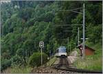 Der  neue  MOB GoldenPass Panoramic Express RE 2228 erreicht Sonzier, da der Zug in einem  Regionalzugfahrplan  fährt, mit Halt auf Verlangen.