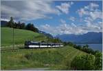 Die MOB Ge 4/4 8002 fährt mit ihrem MOB Golden Pass Panoramic Express PE 2234 durch die Rebberge oberhalb von Montreux bei Planchmp in Richtung Zweisimmen.