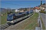 Die MOB Ge 4/4 8001 ist bei Planchamp mit einem GoldenPass Panorama Express auf dem Weg nach Montreux. 

16. März 2020