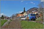 eine MOB Ge 4/4 ist mit ihrem Panoramic Express 3123 von Zweisimmen nach Montreux bei Les Planches nur noch wenige Kilometer von ihrem Ziel entfernt. 
13. April 2015