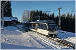 Obwohl Les Pléiades die Gipfelstation ist, sorgten einige Bäume für überraschend viel Schatten, so dass mir bei der Abfahrt des CEV MVR GTW ABeh 2/6 7503  Blonay-Chamby  nur dies kleine  Sonnenfenster  zur Verfügung stand. 
10. Jan. 2019