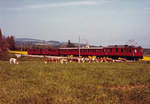 NYON-ST-CERGUE-LA CURE/NStCM.
Erinnerungen an die alten Züge.
Aufnahme aus den 1970er-Jahre.
ABDe 4/4 11 zwischen Trélex und Givrins.
Foto: Walter Ruetsch