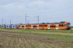 Nachschuss auf die Be 4/12 66 und 72  Shoppy Express  am 29.4.24 zwischen Urtenen und Jegenstorf.