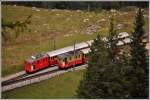 Zugskreuzung mit Loks 11 und 13 in Breitlauenen.