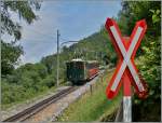 Der SPB Zug 663 hat soeben de Wanderweg von Wilderswil nach Zweilütschinen gekreuzt. hier geht es schon ziemlich steil bergan um dann guten Dreiviertel Stunde die Gipfelstation (1987 müM) zu erreichen.
12. Juli 2015