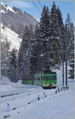 Der ASD BDe 4/4 403 mit dem führenden Bt 434 lassen den Halt Vers l'Eglise hinter sich und fahren ihrem nahen Ziel Les Diablerets entgegen. Die Wintersonne ist zur Zeit so tief, dass sie den verschneiten Talboden bei Vers l'Eglise noch nicht erreicht.

4. Januar 2021