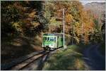 Der TPC ASD BDe 4/4 402 ist im bunten Herbstwald bei Verschiez als Regionalzug 438 von Aigle nach Plambuit unterwegs.