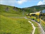 Die Zge der Wengernalpbahn passen farblich wunderbar in die sommerliche Landschaft zwischen Kleine Scheidegg und Grindelwald. 30.07.08 (Hans) 