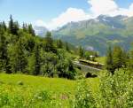 Der Horror des grossen Lauberhorn-Skirennens: Unter diese Bahnbrücke mit bis zu 100 km/h hindurchschiessen (so steht es auf einer Tafel am Wanderweg). Seelenruhig fährt Panorama-Triebwagen 147 oben drüber. 28.Juni 2015.  