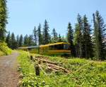 Panorama-Triebzug 147 der Wengernalpbahn oberhalb der Allmend, 28.Juni 2015.