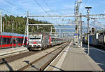 Nachschuss auf Re 456 095-9 mit Zuglok Re 456 091-8 der Schweizerischen Südostbahn AG (SOB) als VAE 2033  Voralpen-Express  von Luzern (CH) nach St. Gallen (CH), der den Bahnhof Arth-Goldau (CH) auf Gleis 5 verlässt.
[20.9.2019 | 17:15 Uhr]
