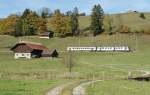 Bahn und Landschaft: TPF Regionalzug N 12 bei Vuadens.