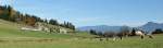 Blick in die Weite der Landschaft und die Freiburger Voralpen im Hintergrund, mitten in dieser prchtigen Landschaft unterwegs, der ex MThB ABDe 4/4 mit Bt als Regionalzug nach Bulle   27.