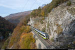 TransN RABe 527 077 als Regio Buttes - Neuchâtel am 27. Oktober 2019 in der Areuse-Schlucht zwischen Champ du Moulin und Bôle.