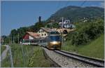 Ein Corona bedingt etwas kurzer MOB Panoramique Express von Zweisimmen nach Montreux kurz nach Planchamp.