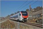 Der eigentlich für den Fernverkehr beschaffte SBB RABe 523 503 (RABe 94 85 0 523 503-6 CH-SBB)  Mouette  ist im Regionalbahnverkehr auf der Train de Vignes Strecke bei Chexbres unterwegs.