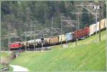 Es kommen alle Zge aus der verkehrten Richtung. Gterzug aus dem Engadin mit Ge 6/6 II kurz vor Reichenau-Tamins bei der Verzweigung mit der Oberlnder Linie nach Disentis. (16.04.2009)