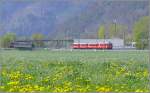 Bei der ehemaligem Haltestelle Trimmis teilen sich die Doppelspuren von RhB und SBB. Der Regio nach Schiers Chur ab 52 wird meistens in dieser Gegend vom Regio nach Ziegelbrcke Chur ab 55 berholt. Be 4/4 RhB und RBDe 560 der SBB. (26.04.2008)