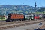 SBB HISTORIC: Sonderzug mit Be 4/7 12504 (1922) und Ae 3/5 10217 (1924) vor der Kulisse des Rossbergs bei Schwyz am 7.