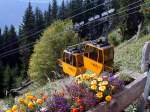 Zwei gekuppelte Kabinen der lplibahngenossenschaft Malans kurz vor der Bergstation auf 1801m/.M.