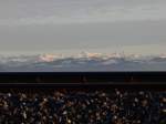 Die Bahnlinie von Weinfelden nach Kreuzlingen beschreibt bei Berg (TG) einen weiten Bogen den Seercken hinauf. Hier bot sich am 26.12.2011 die Gelegenheit, die scheinbar hinter der Gleisberhhung liegenden verschneiten Berge des Alpsteins zu fotografieren.