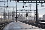 Morgenstimmung am Bahnhof Sargans. (11.02.2017)