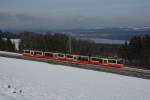 Be 4/6 67 und Be 4/6 66 fahren am 12.01.2013 von Forch Richtung Esslingen, aufgenommen unterhalb von Scheuren.