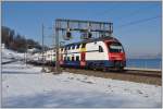 S8 nach Weinfelden mit 514 008-2 zwischen Richterswil und Wdenswil. (19.02.2013)