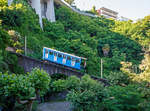   Einer der beiden Standseilbahn-Wagen der FLMS am 22.06.2016 auf Bergfahrt, hier erreicht er bald die Bergstation Orselina.