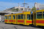 Be 4/6 213, auf der Linie 17, fährt am 07.09.2024 als Zweitwagen zur Haltestelle ZOO Basel.