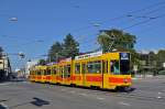 Be 4/8 238 zusammen mit dem Be 4/6 265 auf der Linie 17 fahren zur Haltestelle CIBA.