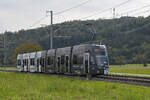 Be 6/8 Flexity 5011 mit der Werbung für Pferde Anlässe in Basel, auf der Linie 14, fährt am 25.09.2024 zur Haltestelle Rothausstrasse. Aufnahme Basel-Land.