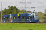 Be 6/8 Flexity 5040  Federer Express , auf der Linie 14, fährt am 25.09.2024 zur Haltestelle Lachmatt. Aufnahme Muttenz.