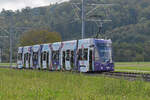 Be 6/8 Flexity 5028 mit der Werbung für die Fussball EM der Frauen 2025 in der Schweiz, auf der Linie 14, fährt am 05.10.2024 zur Haltestelle Rothausstrasse.