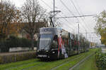 Be 6/8 Flexity 5006 mit der Zalando Werbung, auf der Linie 6, fährt am 08.11.2024 zur Haltestelle Eglisee. Aufnahme Basel.