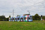 Be 6/8 Flexity 5034 mit der Werbung für Universitäres Zentrum Basel für Zahnmedizin (UZB), auf der Linie 14, fährt am 30.09.2024 zur Haltestelle Lachmatt. Aufnahme Pratteln.