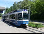 VBZ - Tram Be 4/6 2075 + Be 2/4 2403 unterwegs auf der Linie 9 bei der Haltestelle Milchbuck am 2024.07.14