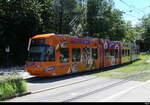 VBZ - Tram Be 5/6  3019 unterwegs auf der Linie 9 bei der einfahrt zur Haltestelle Milchbuck am 2024.07.14