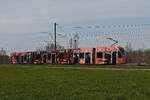 Be 6/8 Flexity 5030 mit der L'oréal Paris Werbung, auf der Linie 14, fährt am 07.03.2023 zur Haltestelle Lachmatt.