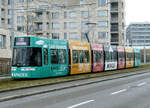 VBZ  Be 6/8 Flexity 4004   20.02.2025   Stettbach ZH 