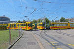 Am 11.08.2024 fand die TCB Abschiedsfahrt der 200er Serie der BLT statt. Mit den drei Be 4/8 218, 235 und 249 mit einer Gesamtlänge von 78,51 m waren wir unterwegs. Nach der Kaffeepause werden alle drei solo aufgestellt. Aufnahme Basel.