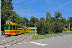 Am 11.08.2024 fand die TCB Abschiedsfahrt der 200er Serie der BLT statt. Mit den drei Be 4/8 218, 235 und 249 mit einer Gesamtlänge von 78,51 m waren wir unterwegs. Der 78.51 Meter lange Zug belegt die ganze Schlaufe beim Eglisse. Aufnahme Basel.