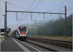 Bei einem etwas nebligen Hintergrund wartet der SBB LEX RABe 522 215 in La Plaine auf die Abfahrt als Léman Express SL5 nach Genève.