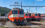 DSF Re 420 141 & SBB Re 420 193 & 130 / Balsthal, 15. September 2024<br>
BoBo-Treffen zum Jubiläum 60 Jahre Re 4/4 II in Balsthal