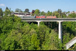 SBB Re 4/4 II 11109 und 11124 mit Corona-bedingtem Leermaterialzug Genf - Luzern am 24.