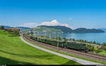 SBBH Ae 3/6 I 10664 / Luzern - Arth-Goldau / Immensee, 4.